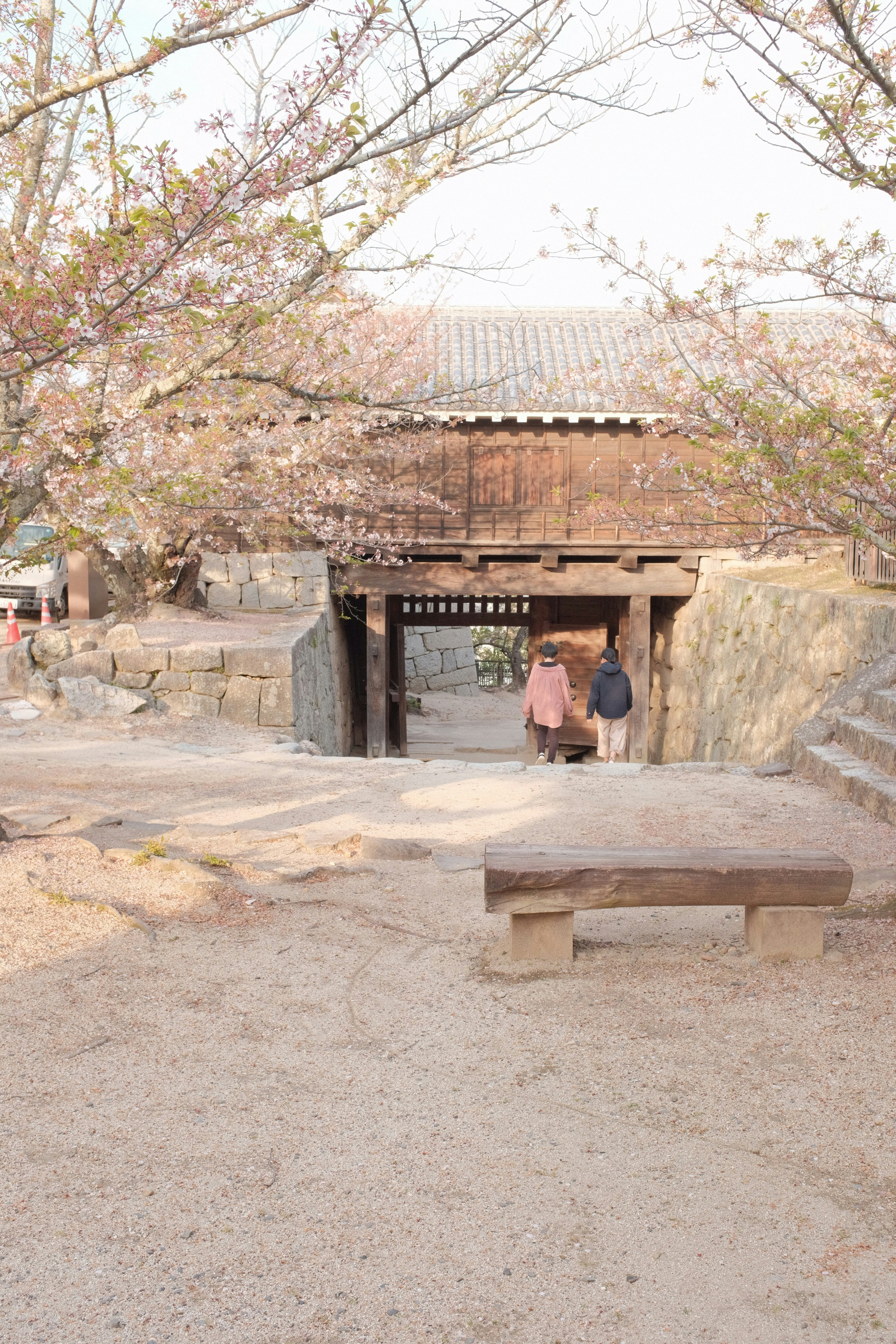 man and woman sitting on brown wooden bench